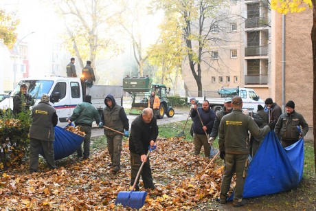 Folyamatosan dolgozik a lehullott levelek összegyűjtésén a Városgondnokság